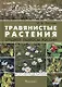 Травянистые растения средней полосы России. Фотоопределитель - фото 1
