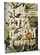 Красота форм в природе. Альбом старинных иллюстраций - фото 3