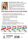 Все виды разбора в русском языке. 1-4 классы - фото 2