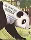 На поиски панды. Удивительное путешествие по лесу - фото 1