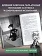 Аманда Блэк. Потерянный амулет - фото 6