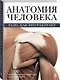 Анатомия человека - фото 3