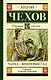 Чайка. Вишневый сад - фото 1