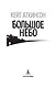 Большое небо - фото 5