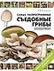 Самые распространенные съедобные грибы. Справочник-определитель грибника: новое дополненное издание - фото 1