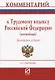 Комментарий к Трудовому кодексу РФ (постатейный) - фото 1