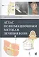 Атлас по инъекционным методам лечения боли - фото 4