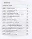 Правосудие Бешеного - фото 2
