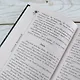 Княгиня Серебряная - фото 7
