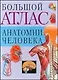 Атлас анат.чел.(св.бол)60х90/8 - фото 1