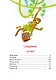 Корней Чуковский. Стихи и сказки (илл. Бордюга) - фото 7