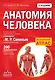 Анатомия человека: 2 издание - фото 1