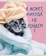 Тетрадь А5 48л лин. "Утро кошечки (Эксклюзив)" скрепка, мелов.картон, поля - фото 3