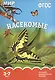 Насекомые. Наглядно-дидактическое пособие. ФГОС - фото 2