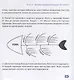 Скорочтение для детей. Как научиться быстро читать и понимать прочитанное. Книга-тренинг для школьников от 10 до 16 лет - фото 3