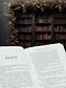Рожденная огнем. Книга 2. Феникс и ледяной дворец - фото 5