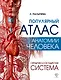 Популярный атлас анатомии человека. Сердечно-сосудистая система - фото 1