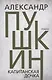 Капитанская дочка - фото 1