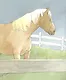 Непослушный Макс - фото 4