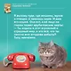 Кошичкин тилипон. Правдиви истори о котиках и их никчемни. Экспресс-помощь для тех, кто застрял в рутине и ищет вдохновение - фото 13