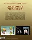 Иллюстрированный атлас. Анатомия человека - фото 2
