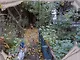 Вблизи холстов и красок - фото 4