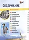 Животные. 250 невероятных фактов. Энциклопедия в дополненной реальности - фото 2