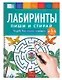 Лабиринты. Пиши и стирай. Тетрадь для письма маркером для детей 4-5-6 лет - фото 1