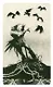 Таро мини «Ворон смерти» / Mini Tarot «Murder of Crows» (78 карт+инструкция) - фото 7