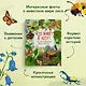 Кто живёт в лесу? Иллюстрированный атлас животных - фото 5