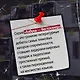 Спящие псы - фото 10