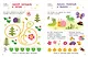 300 занимательных заданий для детей 1-3 лет - фото 15