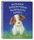 Большое приключение маленького щенка - фото 3
