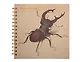Скетчбук 195*195 40л "Дюрер. Жук-олень" 160г/м2, тв.обложка, спираль - фото 1