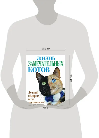 Жизнь замечательных котов - фото 4