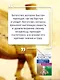 Самый богатый человек в Вавилоне.. Классическое издание, исправленное и дополненное - фото 7