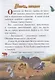Вперед, бегемот. Банга Премудрый. Хранитель Лев - фото 2
