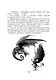 Грифоны. Книга 3. Возвращение грифонов - фото 6