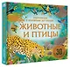 Животные и птицы - фото 3