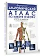 Популярный анатомический атлас по Никите Жукову. Кости и мышцы. Инсайты и интересные факты - фото 3