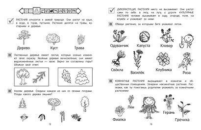 Мир вокруг - фото 5