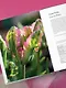 Тюльпаны. Великолепные цветы для дома и сада - фото 12