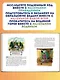 Маленькая Баба-Яга. Маленький Водяной. Маленькое Привидение (пер. Ю. Коринца, ил. В. Гебхардт) - фото 5