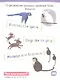 Умный блокнот. English. Весёлый зоопарк (Funny Zoo) Уровень 1 - фото 2