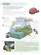 Мусорная революция Свалка о двух концах (илл. Славина) (МвН) Файви - фото 5