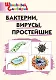 Бактерии, вирусы, простейшие. Начальная школа - фото 1