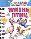 Жизнь птиц - фото 1