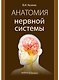 Анатомия нервной системы: учебное пособие - фото 1