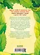 Рубиния чудесное сердце, смелая девочка из рода лесных эльфов. Свет волшебного камня - фото 2
