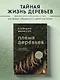 Племя деревьев. О чем говорят корни и кроны - фото 4